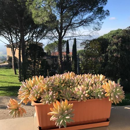 Villa Maria Collepepe Luaran gambar